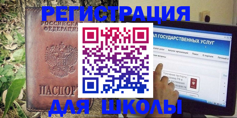 прописка для школы в Лузе